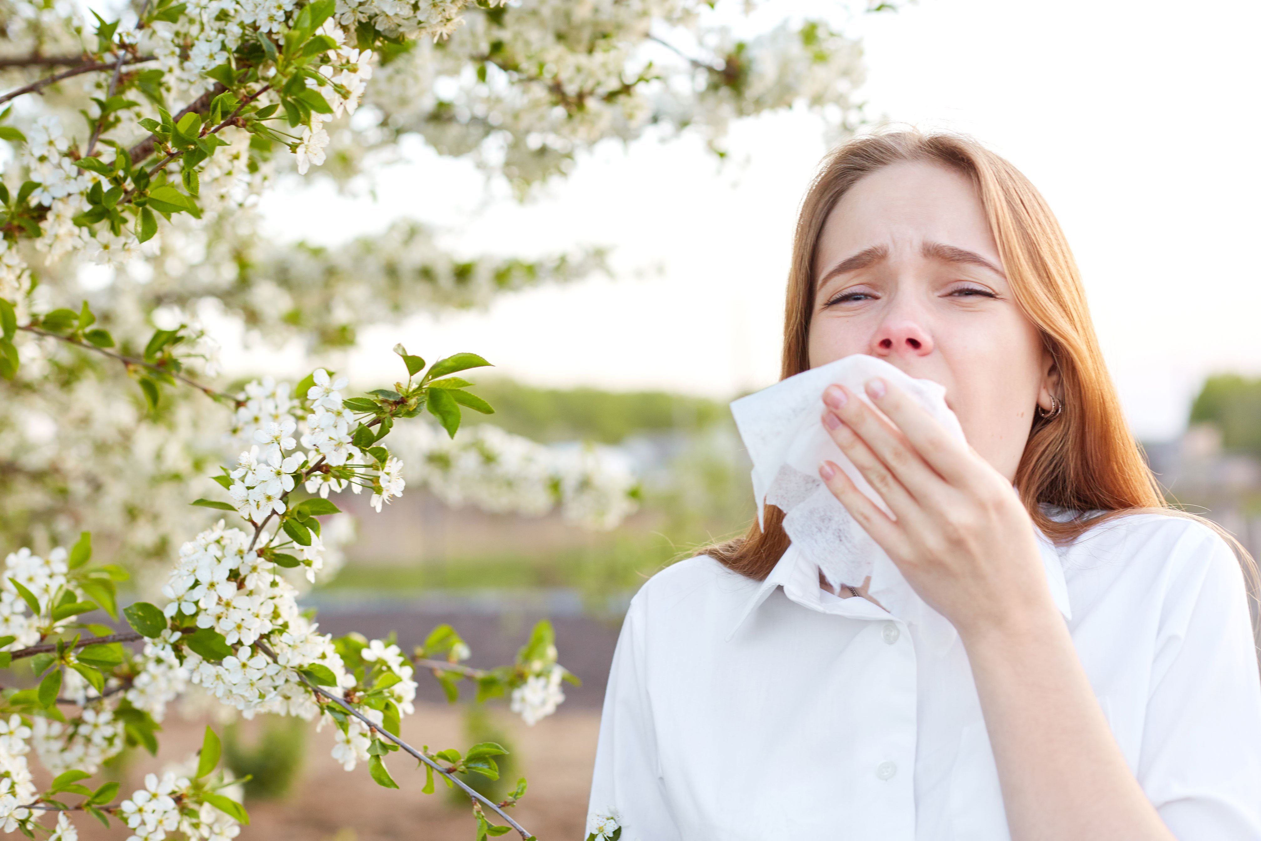 Dienstleistung_Heuschnupfen und Allergien