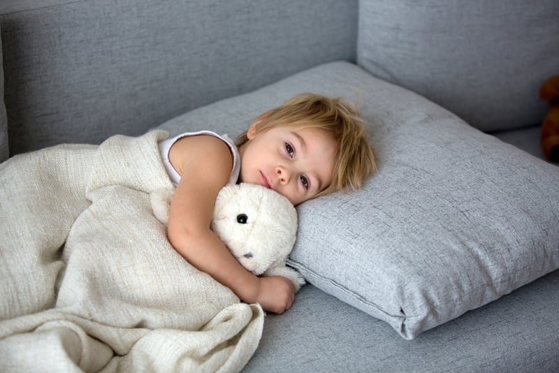shutterstock_2731682337