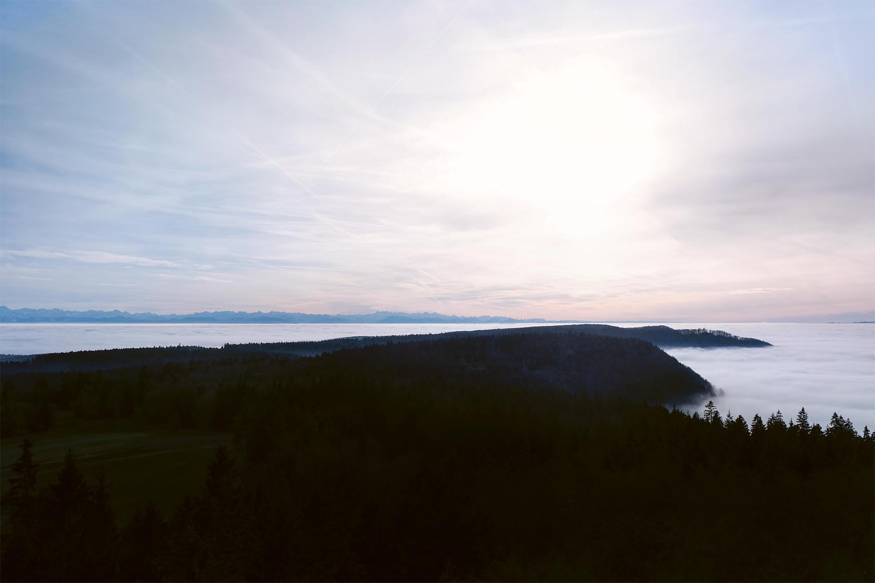 Winterlandschaft mit hellem Horizont
